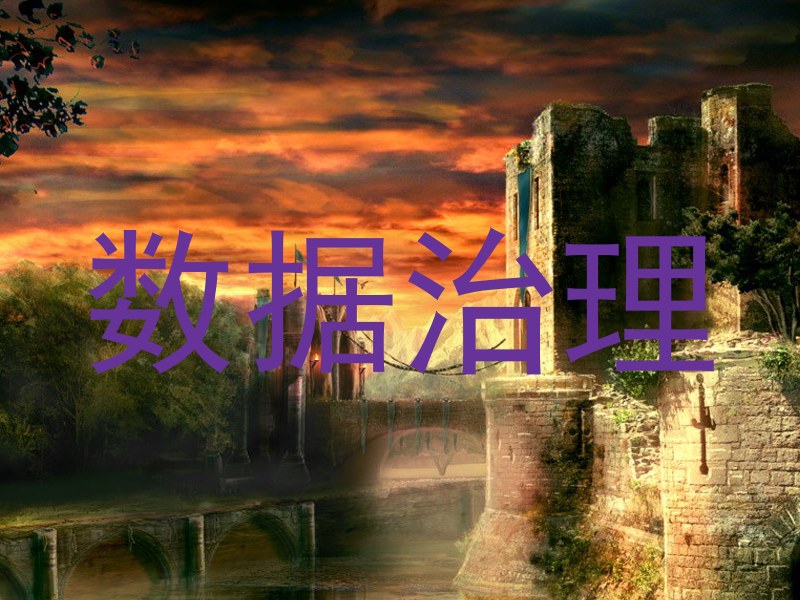 数据治理