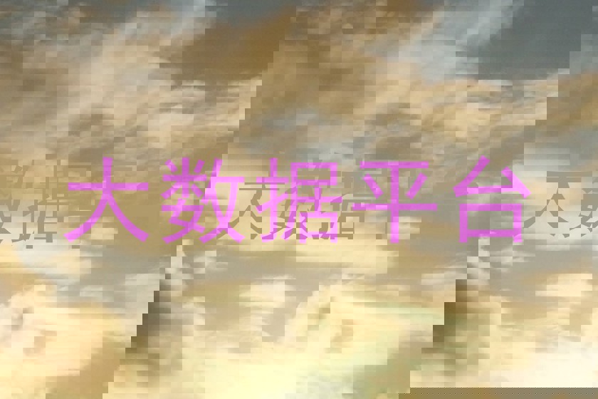 大数据平台