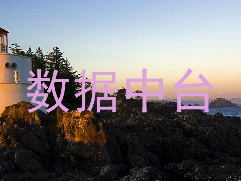 数据中台