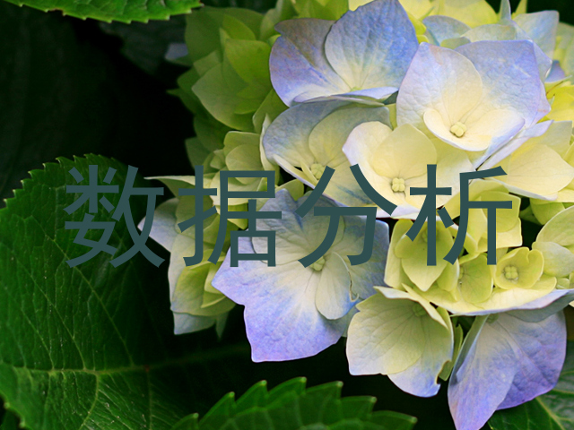 数据分析