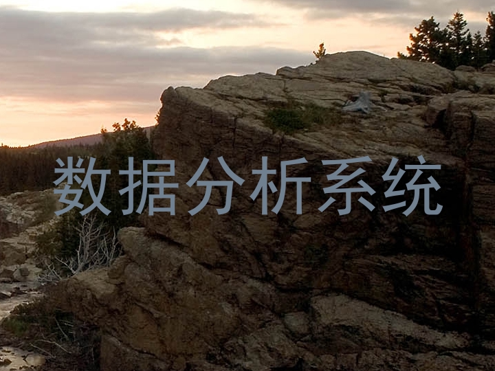 数据分析系统