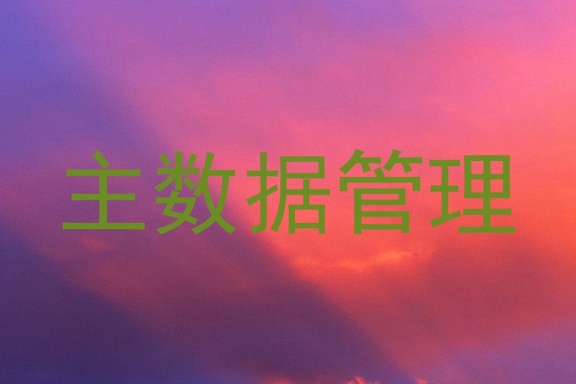 主数据管理