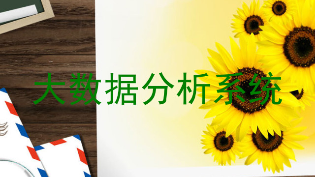 大数据分析系统