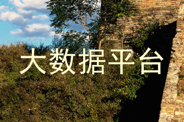 大数据平台
