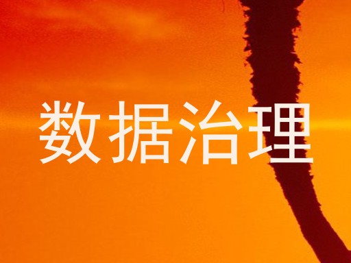 数据治理