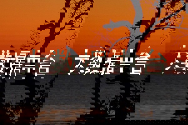大数据中台
