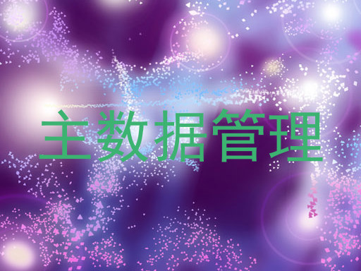 主数据管理
