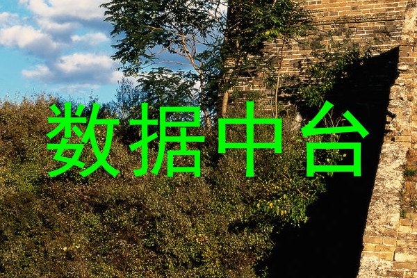 数据中台