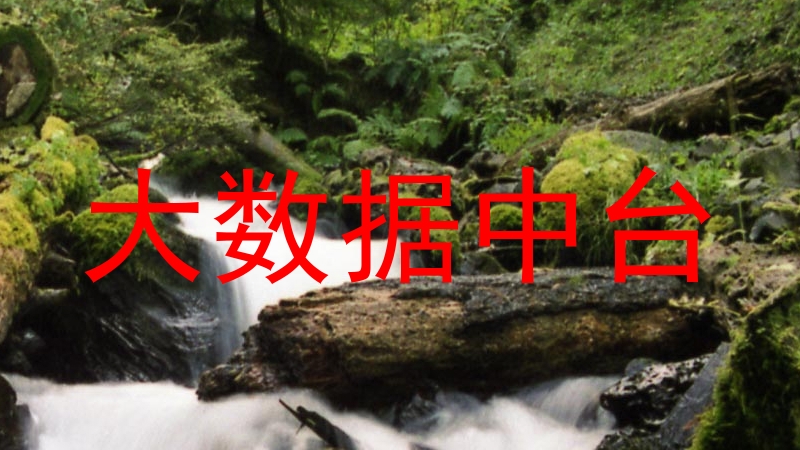大数据中台