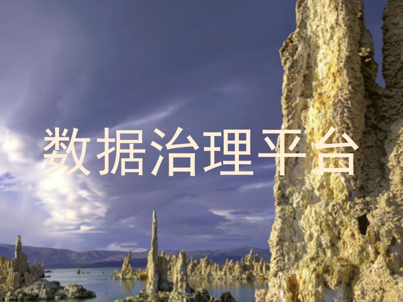 数据治理平台