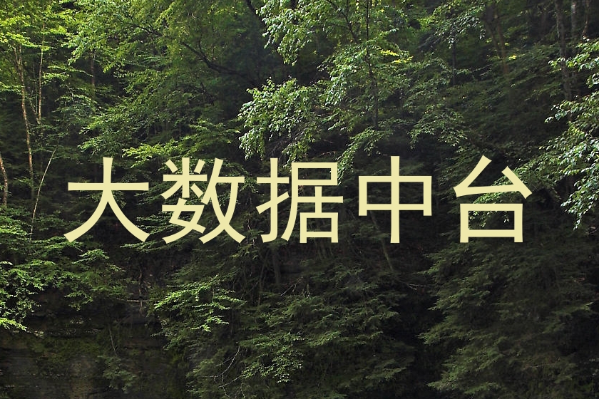 大数据中台