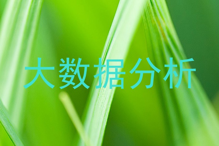 大数据分析