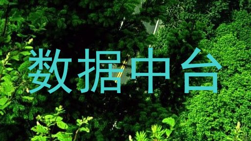 数据中台