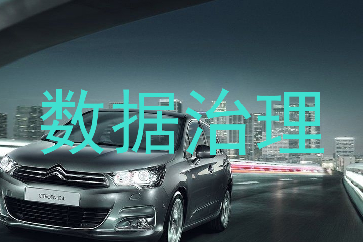 数据治理