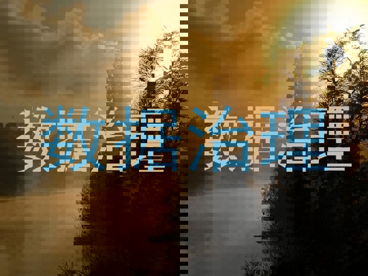 数据治理