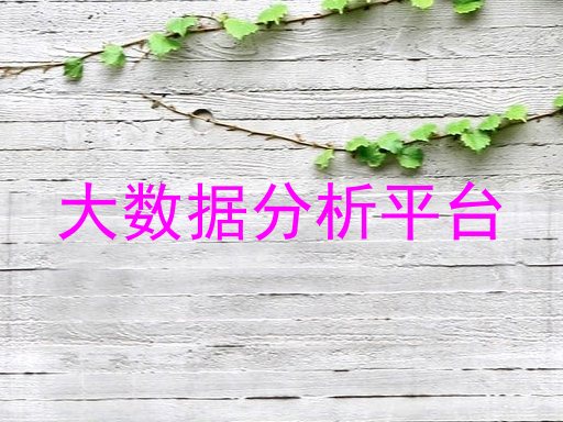 大数据分析平台