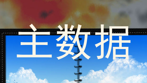 主数据