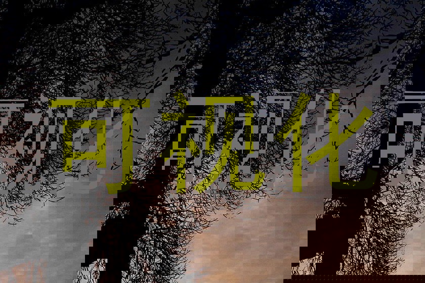 可视化