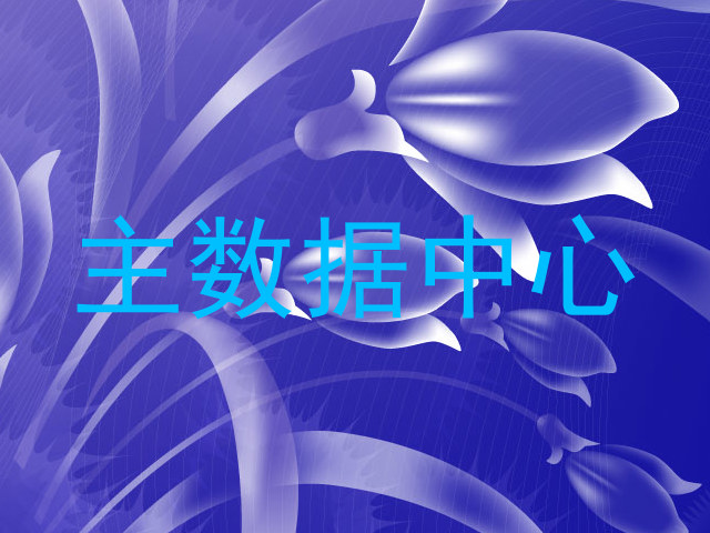 主数据中心