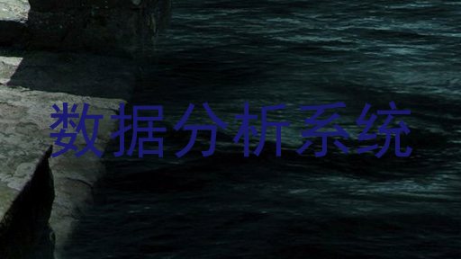 数据分析系统