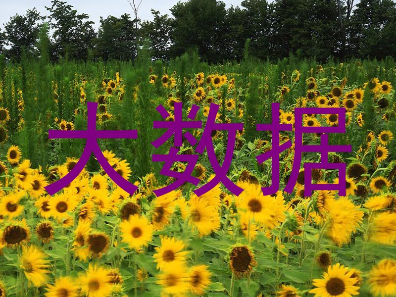 大数据