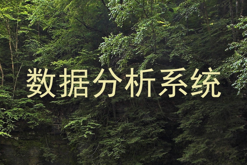 数据分析系统