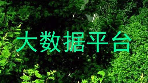 大数据平台