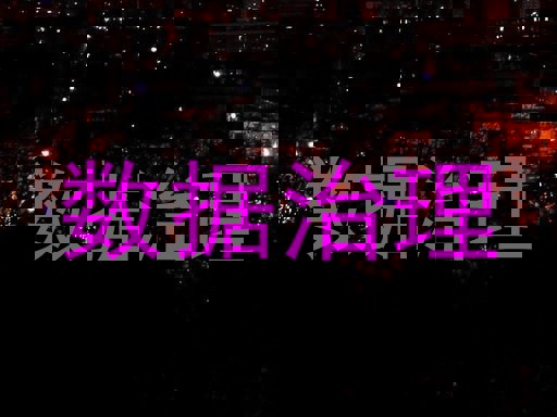 数据治理