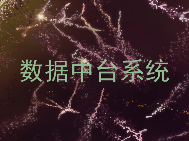 数据中台系统