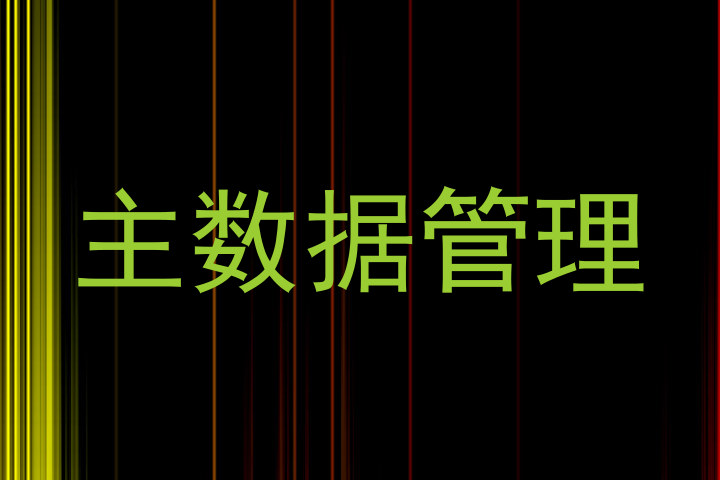 主数据管理