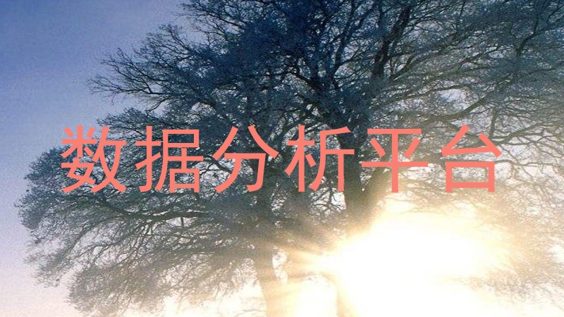 数据分析平台