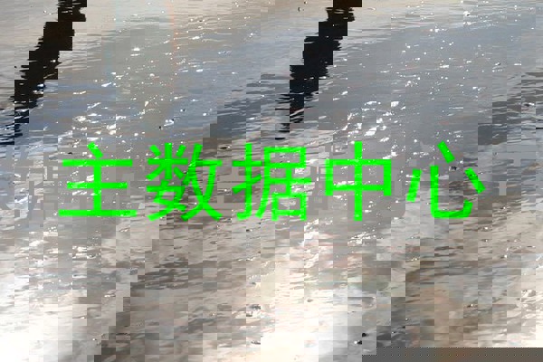 主数据中心