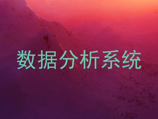 数据分析系统