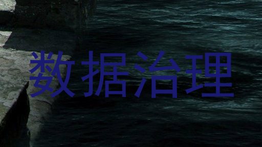数据治理