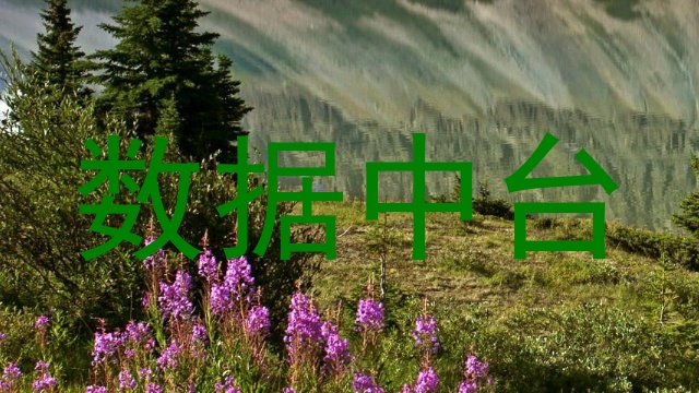 数据中台