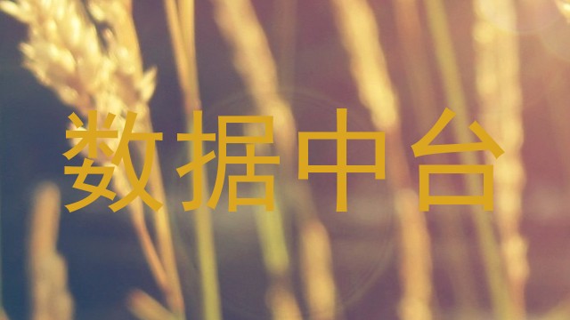 数据中台
