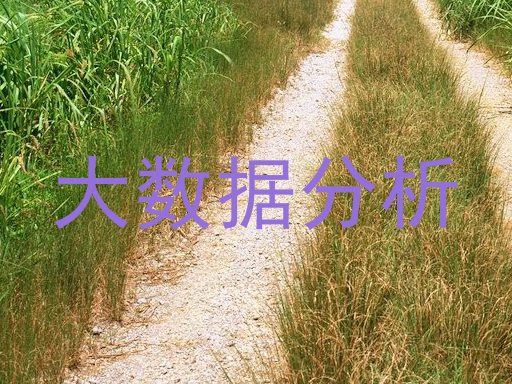 大数据分析