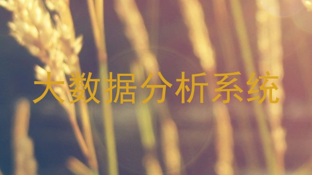 大数据分析系统