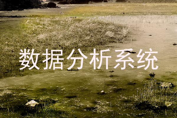 数据分析系统