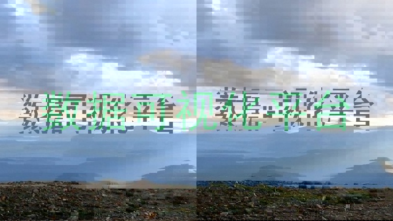 数据可视化平台