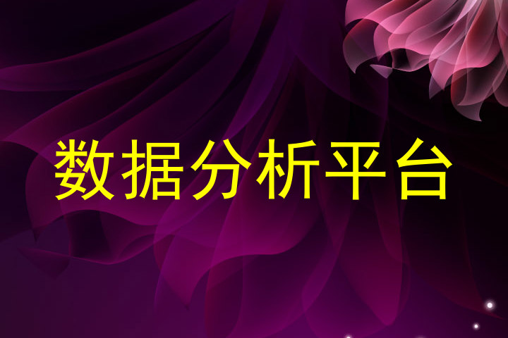 数据分析平台