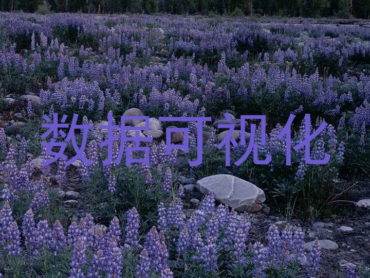 数据可视化