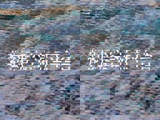 数据分析平台