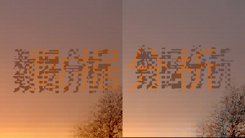 数据分析