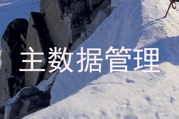 主数据管理