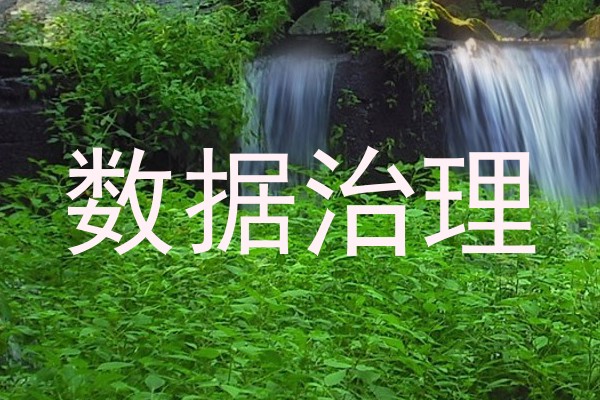 数据治理