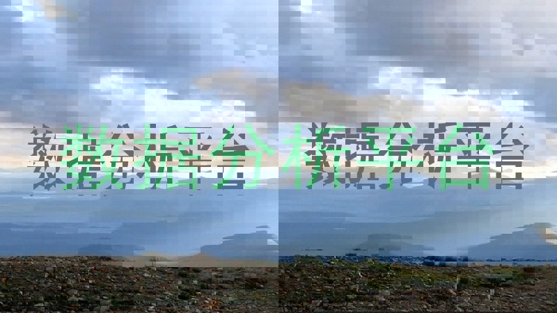数据分析平台