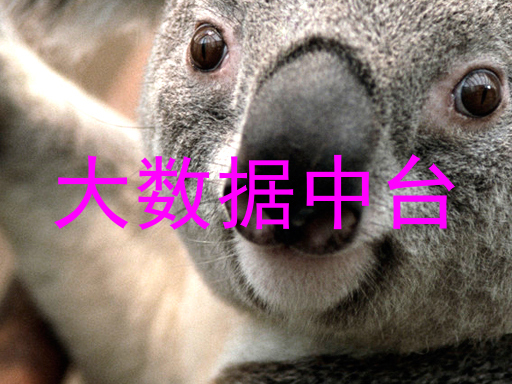 大数据中台