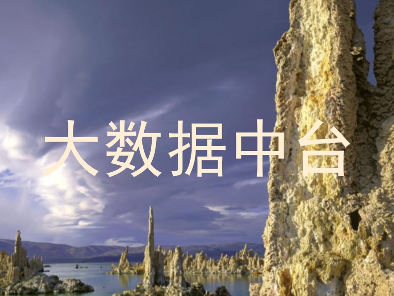 大数据中台