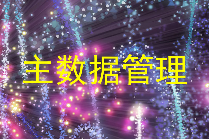 主数据管理